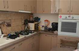 Apartament 2 camere, 48 mp, zona Sala Palatului