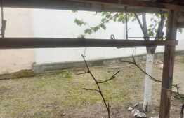 Casa cu o curte superba in Colentina, 400 mp teren, 5 camere, strada linistita 