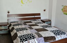 Casa cu o curte superba in Colentina, 400 mp teren, 5 camere, strada linistita 