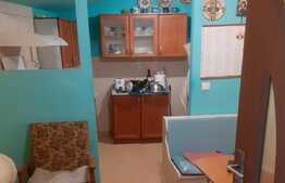 Casa spatioasa in Colentina