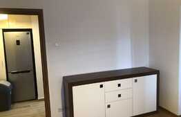 Apartament 2 camere, 40 mp, zona Piata Victoriei