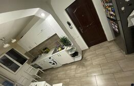 Apartament 2 camere, 50 mp, zona Matei Voievod