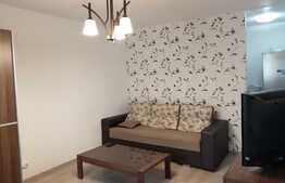 Garsoniera 33 mp, zona Dristor