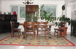 Vila Mogosoaia, 250mp, P+1+pod, langa padure, teren 1000mp