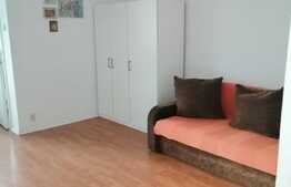 Garsoniera 29 mp, zona Dristor