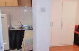 Garsoniera 29 mp, zona Dristor