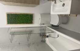 Apartament 2 camere, terasa si balcon, mobilat si utilat lux