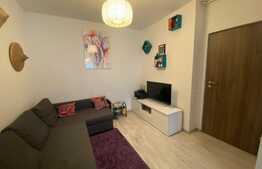 Apartament 2 camere, 44 mp, zona Dristor