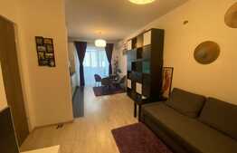 Apartament 2 camere, 44 mp, zona Dristor