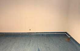 Casa de vanzare, 4 camere, teren 250mp, Baneasa