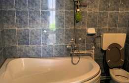 Casa de vanzare, 4 camere, teren 250mp, Baneasa