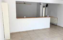 Casa de vanzare, 4 camere, teren 250mp, Baneasa