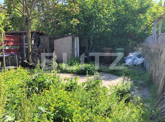 Casa de vânzare 4 camere Baneasa - 86514CV | BLITZ București | Poza3