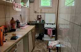 Ideal Spatiu Comercial,Garsoniera decomandata, Bulevardul Theodor Pallady