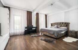 Oportunitate! Bloc boutique Collosseum Mall dispus in 3 apartamente + demisol