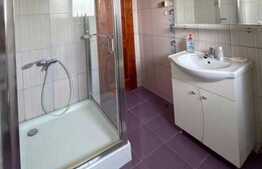 Apartament 2 camere, 53 mp, decomandat, zona Bucurestii Noi