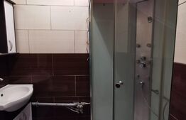 Apartament 2 camere, 55 mp, curte 37 mp, zona Bucurestii Noi