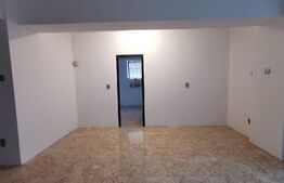 Apartament 2 camere, 55 mp, curte 37 mp, zona Bucurestii Noi