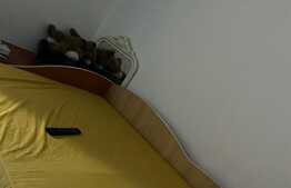 Garsoniera zona Ozana