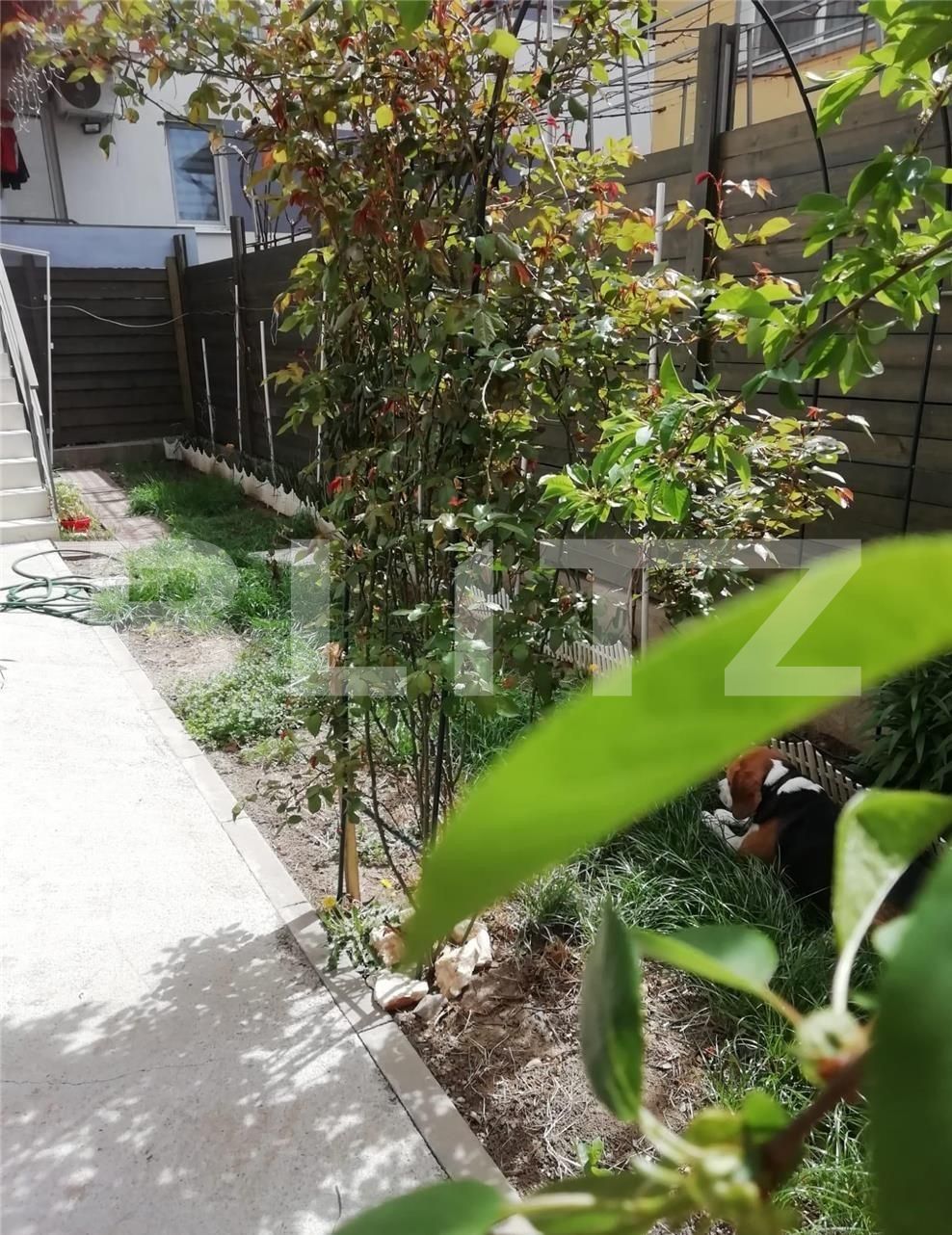 Apartament de vânzare 3 camere Titan - 87674AV | BLITZ București | Poza3