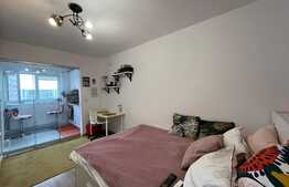 Oportunitate! Garsoniera, 24 mp, complex nou, zona Pallady 