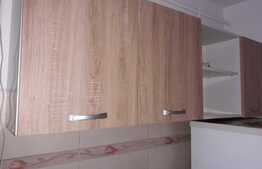 Apartament 1 camera, 23 mp, zona Nicolae Grigorescu 