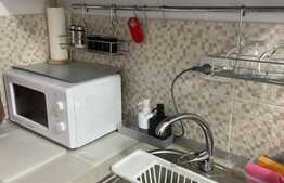 Garsoniera de vanzare zona Theodor Pallady