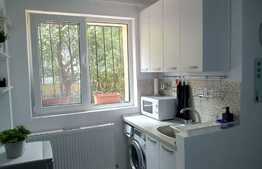 Garsoniera de vanzare zona Theodor Pallady