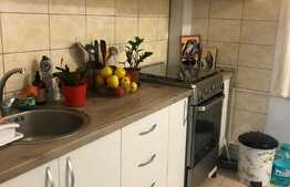 Garsoniera 36 mp, spatioasa, Parc Sebastian