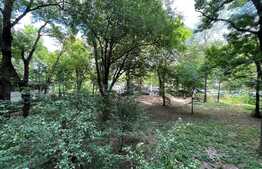 Garsoniera, 35 mp, etaj intermediar, zona Costin Georgian 