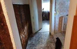 Apartament de 2 camere, 45 mp, etaj intermediar, zona Dristor