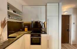 Apartament 2 camere, 46 mp, etaj intermediar, Scoala Americana