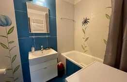 Apartament 2 camere, 46 mp, etaj intermediar, Scoala Americana