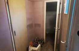 Apartament 2 camere, 45 mp, etaj intermediar, Sala Palatului