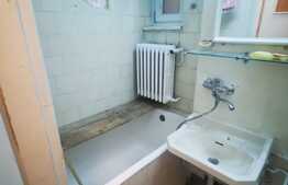 Apartament 2 camere, 45 mp, etaj intermediar, Sala Palatului