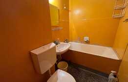 Garsoniera de 30 mp, balcon, zona Costin Georgian 