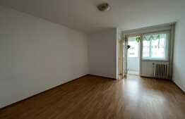 Garsoniera de 30 mp, balcon, zona Costin Georgian 