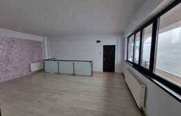 Apartament 5 camere, 124 mp, curte 90 mp, zona Parcul Bazilescu