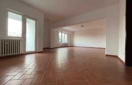 Apartament 5 camere, 110 mp, etaj intermediar, Piata Sfanta Vineri