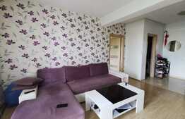 Apartament de 2 camere, etaj intermediar, centrală proprie, zona Bucureștii Noi