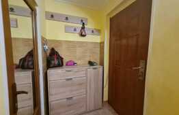 Apartament 2 camere, minimalist, Pantelimon