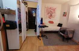 Garsoniera de 24 mp, etaj intermediar, zona Pantelimon