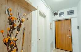 Apartament de 2 camere, la cheie, 50 mp, zona Pallady 