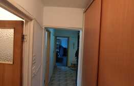 Apartament 2 camere, 50 mp, decomandat, Dristor