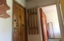 Apartament 2 camere, 51 mp, etaj intermediar, Costin Georgian