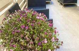 Apartament cu 3 camere, terasa, 70 mp, zona Salajan