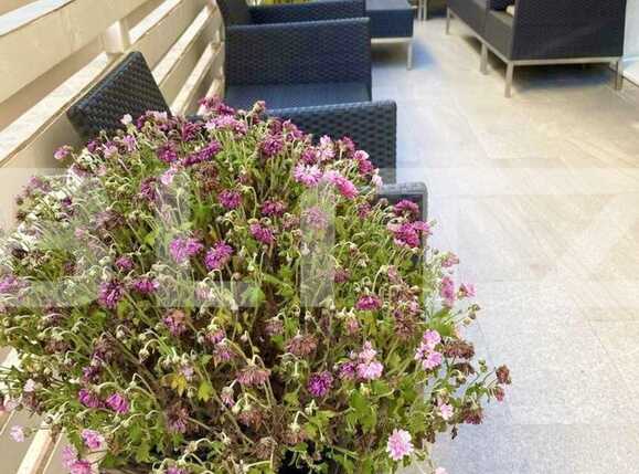 Apartament de vânzare 3 camere Titan - 89612AV | BLITZ București | Poza7