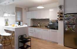 Apartament 2 camere, 53 mp, gradina proprie, zona Baneasa