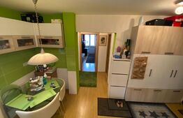 Apartament de 3 camere, 70 mp, zona Tineretului