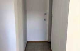 Casa 2 camere, 38 mp utili, terasa, Soseua Chitilei